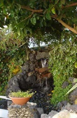 圣弗朗西斯科公园酒店 Lanzarote Island